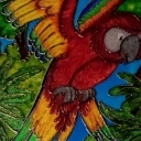 Szał kolorow . Szał kolorow .