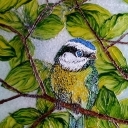 Ptaszyna .. Ptaszyna ..