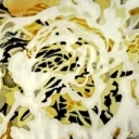 Laceformis Laceformis