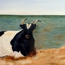 Plażowiczka Plażowiczka