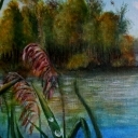 Wysepka na jeziorze Wysepka na jeziorze