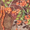 Jarzębina Jarzębina