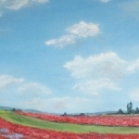 Pole maków Pole maków