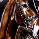 Portret konia Portret konia