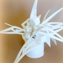 Crystaliformis Crystaliformis