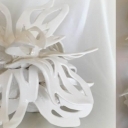 Flora Abstraordinary Flora Abstraordinary