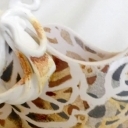 Laceformis waza Laceformis waza