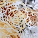 Laceformis patera Laceformis patera