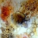 Growth and Bloom Growth and Bloom