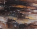 Ukryta w barwach jak w cieniu drzew Ukryta w barwach jak w cieniu drzew