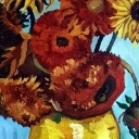 Słoneczniki Słoneczniki