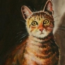 dla alergików dla alergików