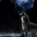 Wołanie na puszczy. Wołanie na puszczy.