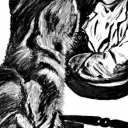 Kotek i pan Kotek i pan