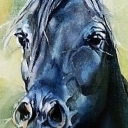 Czarny wicher Czarny wicher