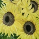 SLONECZNIKI SLONECZNIKI