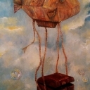 Argonautka Argonautka