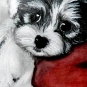 Kocham Cię Kocham Cię