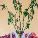 Female identity Female identity