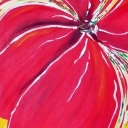 Kwiat Orientu Kwiat Orientu