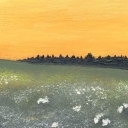 Yellow Sky Yellow Sky