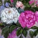 ogrodowe piękności ogrodowe piękności