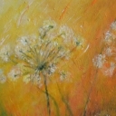 Letnia łąka Letnia łąka