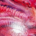 Chiński wąż szczęścia Chiński wąż szczęścia