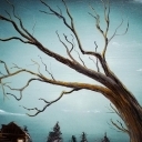 Samotne drzewo Samotne drzewo