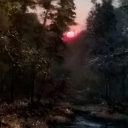 Zachód słońca w lesie Zachód słońca w lesie