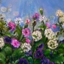 polne kwiaty polne kwiaty