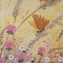 koniczyna i motyle koniczyna i motyle