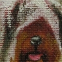 Sky Terrier Sky Terrier