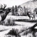 Rykowisko. Rykowisko.