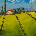 Olive grove Olive grove