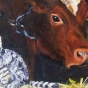 Przyjaciele. Przyjaciele.