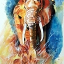 Dziki Świat Afryki Dziki Świat Afryki