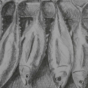 Fish market