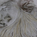 Resting beauty Resting beauty