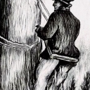 Kupiowski bartnik. Kupiowski bartnik.