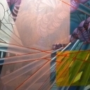 Identyfikacja Identyfikacja