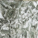 Ogród-czarno biały rysunek