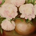 PIWONIE 50-70cm olej