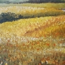 ...gdzieś ...gdzieś