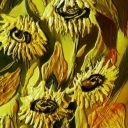 ...słoneczniki przy płocie. ...słoneczniki przy płocie.