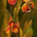 ...irysy II ...irysy II