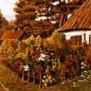 ...w zaciszu ...w zaciszu