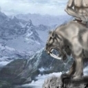 strażnik przełęczy strażnik przełęczy