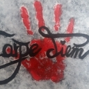 Carpe diem Carpe diem