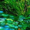 Noce i Dnie - Nenufary !!!